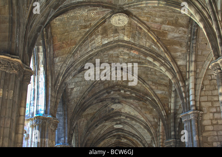 Kathedrale Santa Eulalia oder De La Seu Gewölbe des Klosters gotischen Viertel Barcelona Katalonien Spanien Stockfoto