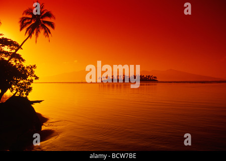 Sonnenuntergang Moorea Französisch-Polynesien Stockfoto