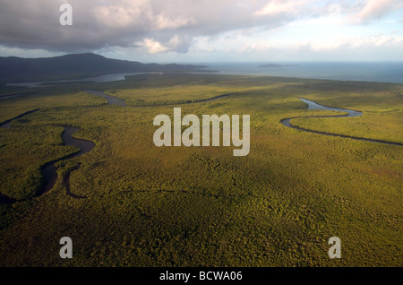 Luftaufnahme der Mangrovenwälder an der Mündung des Flusses Daintree mit Cape Kimberley im Hintergrund, Daintree Nationalpark Stockfoto