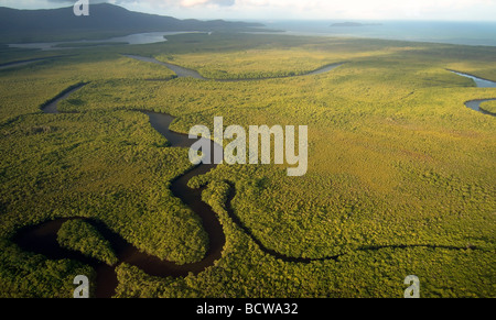 Luftaufnahme der Mangrovenwälder an der Mündung des Flusses Daintree mit Cape Kimberley im Hintergrund, Daintree Nationalpark Stockfoto