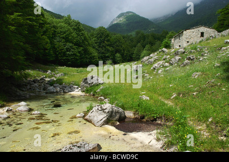 Melfa Fluss im Val Canneto, Nationalpark Abruzzen Casone Bartolomucci, Italien, Latium Stockfoto