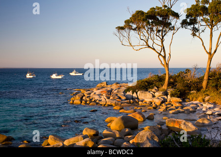 Boote von Binalong Bay Tasmanien Australien Stockfoto