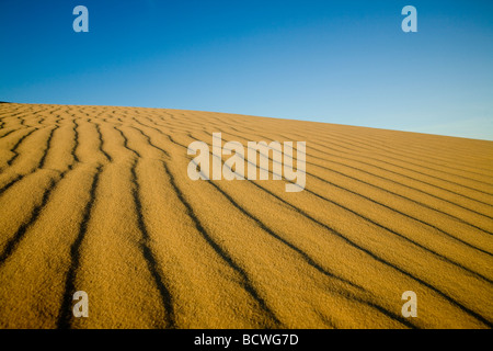 Sonnenaufgang über den weißen Sanddünen in der Nähe von Mui Ne, Südvietnam Stockfoto