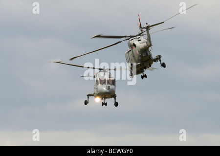 Die Black Cats anzeigen team 2 Marine Westland Lynx Hubschrauber anzeigen in 2009 Royal International Air Tattoo, RAF Fairford Stockfoto