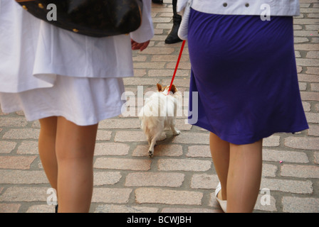 TWP junge Frauen, die ihren Hund spazieren gehen Stockfoto