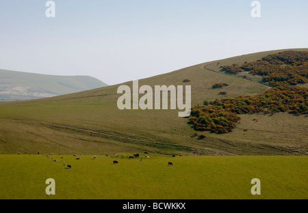 Blick im Frühling über den South Downs mit Blick auf Mount Caburn und Kingston Ridge Stockfoto