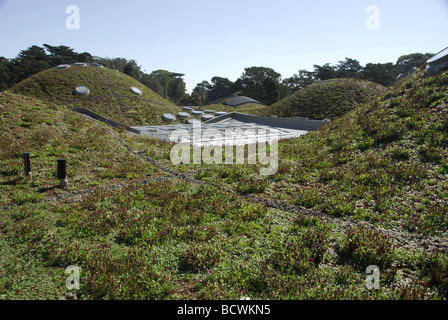 California Academy of Sciences im Golden Gate Park, San Francisco, Kalifornien, USA Stockfoto