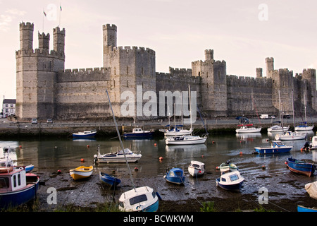 Caernarfon Castle, Wales Stockfoto