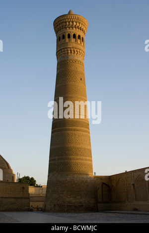 Kalon Moschee in Buchara Usbekistan Stockfoto