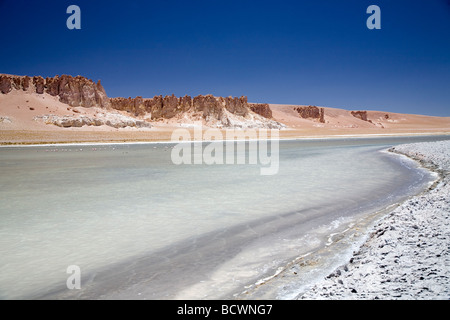 Die herrlichen Farben der Reserva Nacional Los Flamencos (The Flamingos National Park), Salar Tara, Atacamawüste, Chile Stockfoto