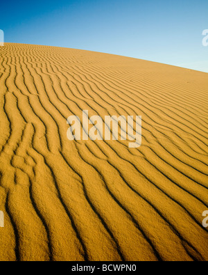 Die "Weiße Sanddünen" in der Nähe von Mui Ne, Südvietnam Stockfoto