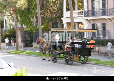 Horse Drawn Kutschenfahrt auf Battery Street in Charleston SC USA Stockfoto