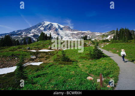 Wandern am Paradise Inn Trail am Mount Rainier Washington State USA Stockfoto