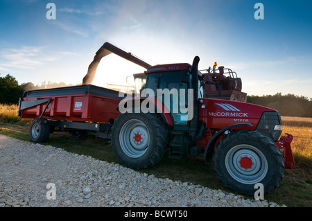 MTX110 Traktor McCormick und Demarest Korn Anhänger - Frankreich. Stockfoto