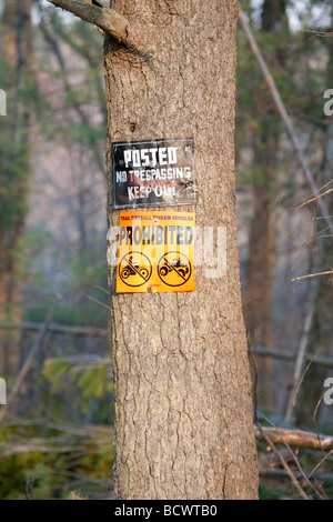 Keine Spur von Trespassing auf Kiefer in New Hampshire USA Teil New England ist Stockfoto