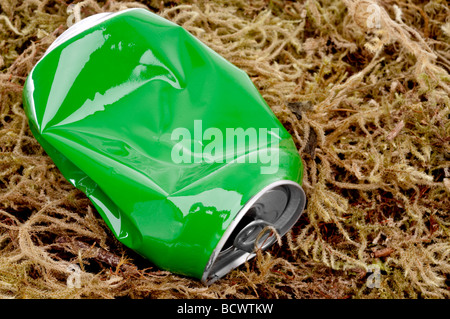 horizontale schließen kann bis eine zerdrückte grüne Aluminium-Drink auf Moos Stockfoto