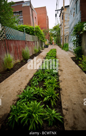 Grüne Gasse in Montreal Teil eines gemeinschaftlichen Projekts durch die Bürger ihre Stadt umweltfreundlicher zu machen Stockfoto