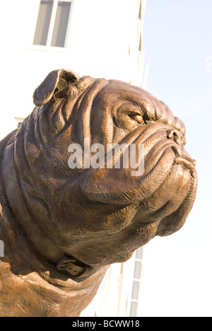 Bulldog-Statue im Johnson Hagood Stadion auf der Zitadelle in Charleston SC USA Stockfoto