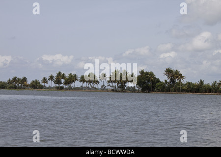 Backwaters, Alleppey, Kerala, Indien. Stockfoto