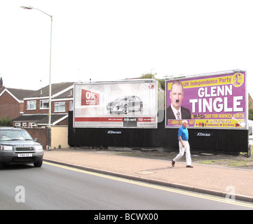 Die UKIP UK Independence Party Plakate für die Norwich North Nachwahl im Juli 2009. Alle wurden de-konfrontiert mit graffiti Stockfoto