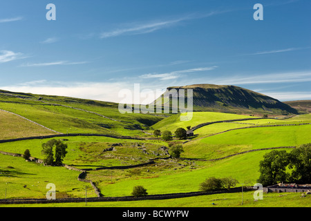 Pen-y-Gent eines Yorkshire drei Zinnen an einem sonnigen Sommerabend Stockfoto