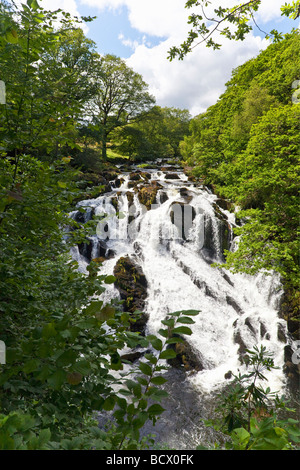 Schlucken Sie Falls Wasserfall Wasserfälle Fluss Llugwy im Juli Sommersonnenschein Betws-y-Coed Conwy North Wales Cymru UK Großbritannien Stockfoto