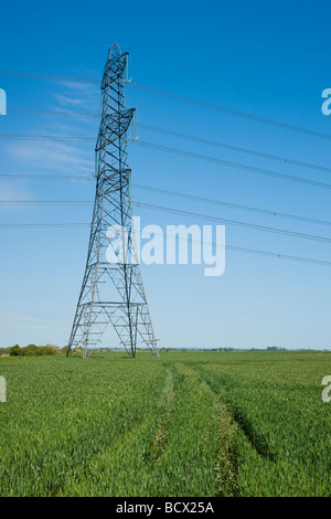 Strommast mit grüne Ernte Laub im Hintergrund vor einem strahlend blauen Himmel Stockfoto