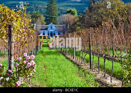 Eine traditionelle Kap-holländischen Gehöft auf einem Weingut namens Buitenverwachting in Constantia, Kapstadt, Südafrika Stockfoto