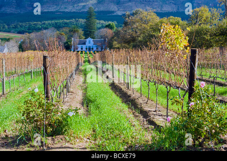 Eine traditionelle Kap-holländischen Gehöft auf einem Weingut namens Buitenverwachting in Constantia, Kapstadt, Südafrika Stockfoto