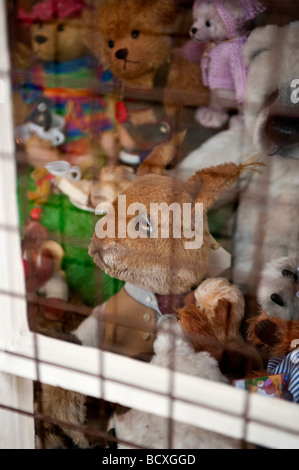 Ein Spielzeug-Kaninchen mit einem traurigen Gesicht in einem Schaufenster. Stockfoto