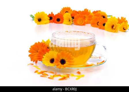 T-Stück Ringelblume Tee Ringelblume 04 Stockfoto