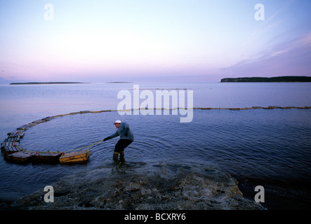 Havre St. Pierre, Duplessis, saint Lawrence River, Quebec, Kanada Stockfoto