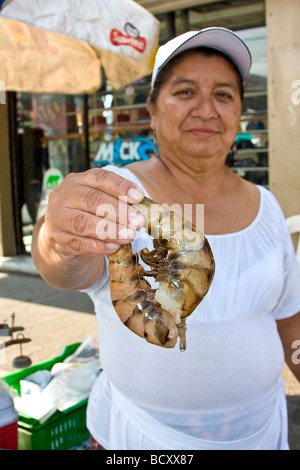 Frau bietet Riese Garnelen zum Verkauf in einer Seitenstraße im Centro Bezirk von Mazatlan Mexiko. Stockfoto