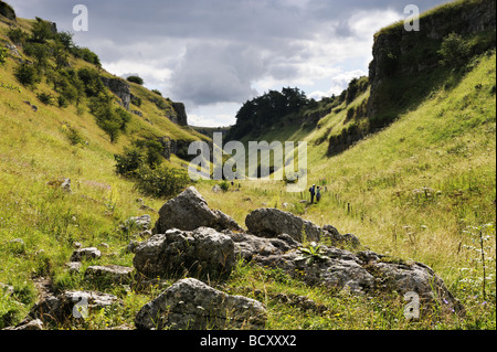 Lathkill Dale, Peak District National Park, Derbyshire Stockfoto