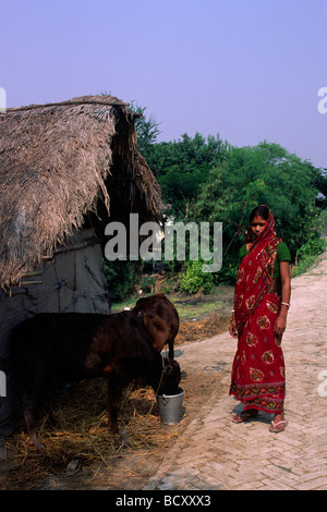 Indien, Westbengalen, Sunderbans, Frau Stockfoto