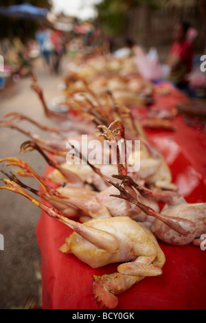 Hühner zum Verkauf auf dem Markt in Luang Prabang, Laos Stockfoto