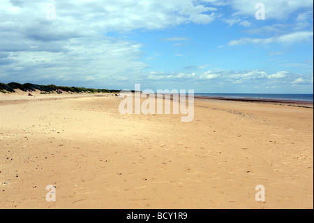 Bei Ebbe am Strand an der RSPB Titchwell Marsh Nature reserve auf der Küste von North Norfolk UK Stockfoto