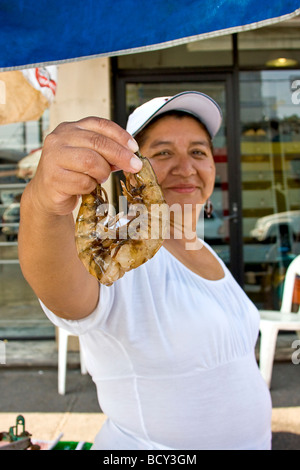 Frau bietet Riese Garnelen zum Verkauf in einer Seitenstraße im Centro Bezirk von Mazatlan Mexiko. Stockfoto