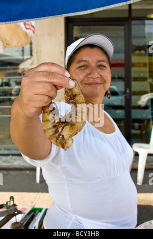 Frau bietet Riese Garnelen zum Verkauf in einer Seitenstraße im Centro Bezirk von Mazatlan Mexiko. Stockfoto