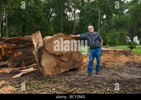 Baum entfernen von riesigen Eichen in High Springs Florida Stockfoto