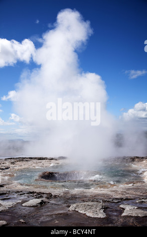 Strokkur Island Stockfoto