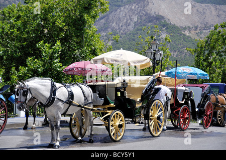 Pferdekutschen in der Schlange, Mijas, Costa del Sol, Provinz Malaga, Andalusien (Andalusien), Spanien Stockfoto