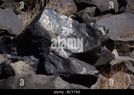 Ein LAVA-Gestein an den Ufern der wilden und landschaftlich OWYHEE RIVER östlichen OREGON Stockfoto