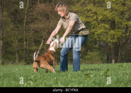 Frau - spielt mit halben Rasse Hund (Podenco-Pointer) auf Wiese Stockfoto