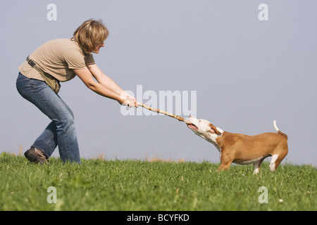 Frau - spielt mit halben Rasse Hund (Podenco-Pointer) auf Wiese Stockfoto