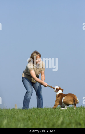 Frau - spielt mit halben Rasse Hund (Podenco-Pointer) auf Wiese Stockfoto