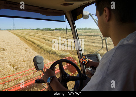 Mann fahren einen Harvester in Allier Auvergne Frankreich Stockfoto