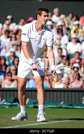 ANDY MURRAY Großbritannien WIMBLEDON LONDON ENGLAND 23. Juni 2009 Stockfoto