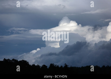 Cumulus-Wolken über lettische Landschaft Stockfoto