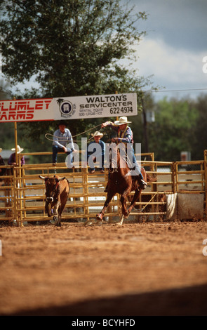 Rodeo - Cowboy Stockfoto